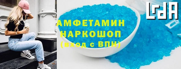 молекула духа Каменка