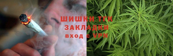 молекула духа Каменка