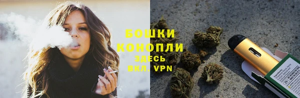молекула духа Каменка