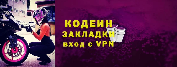 прущие грибы Каменск-Шахтинский