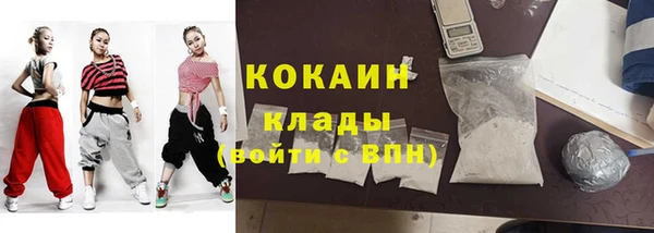 прущие грибы Каменск-Шахтинский