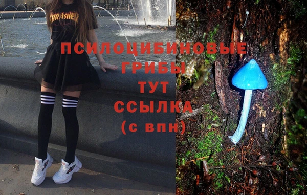 spice Карпинск