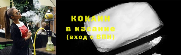 прущие грибы Каменск-Шахтинский
