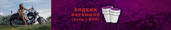 молекула духа Каменка