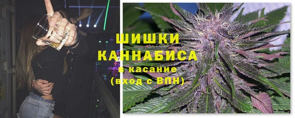 молекула духа Каменка