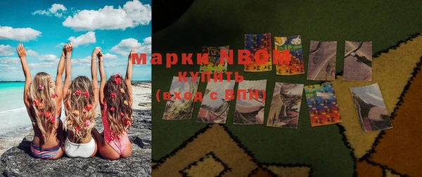 прущие грибы Каменск-Шахтинский
