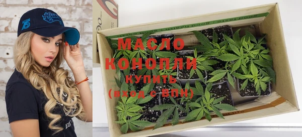 молекула духа Каменка